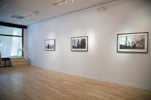 installation view2