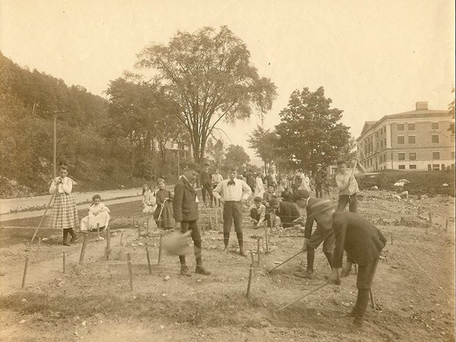 Students gardening