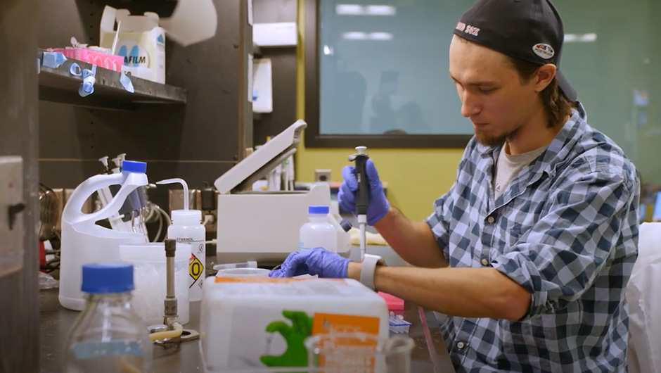 Student working in chemistry lab