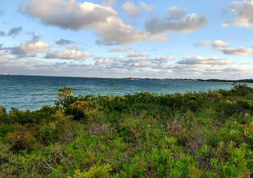 View of the island coastline