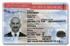 Employment Authorization Card