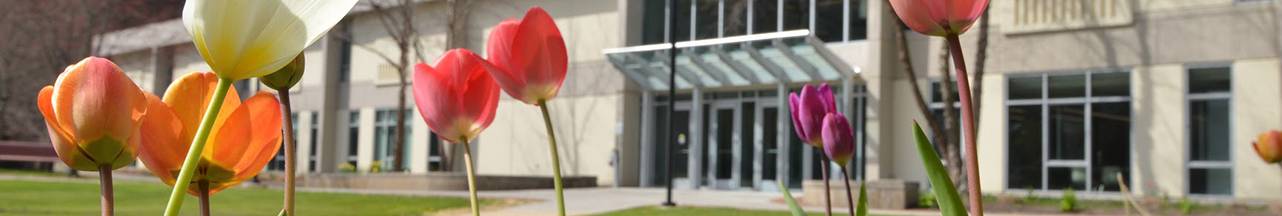 Spring flowers in front of Bowman Hall