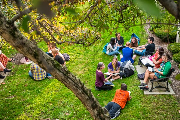 Students Studying