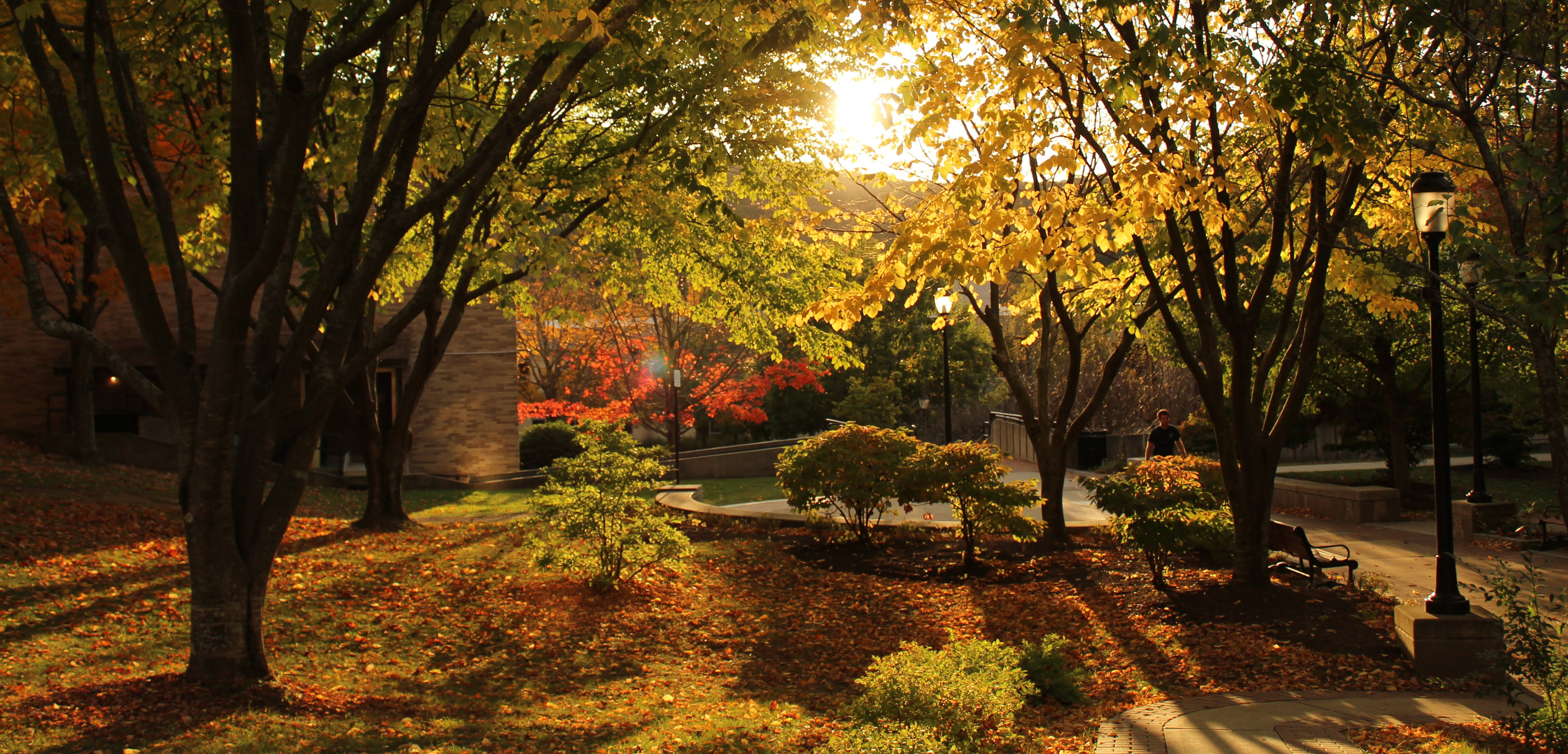 Campus during autumn