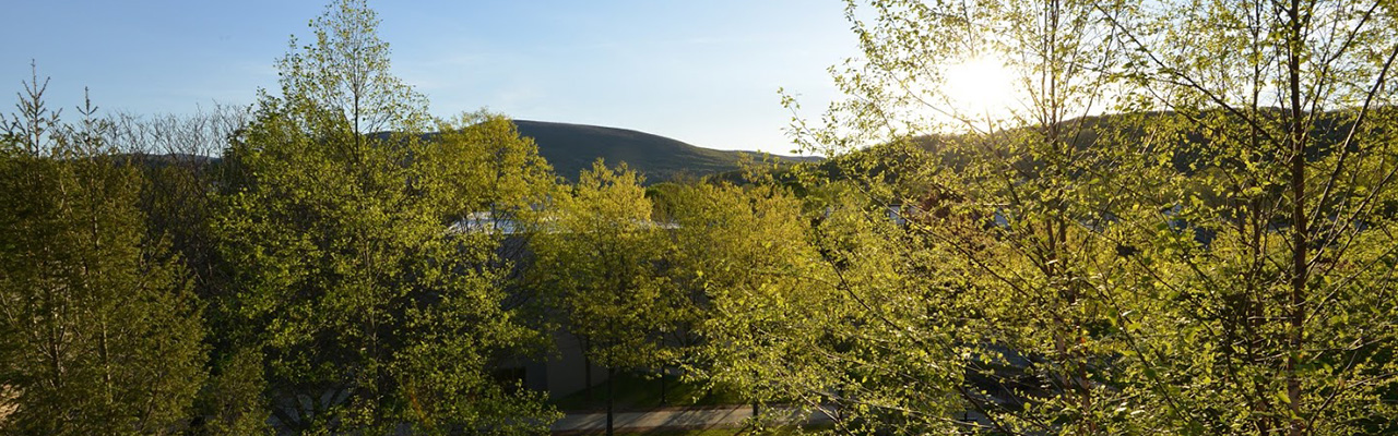 Hillside beyond MCLA campus