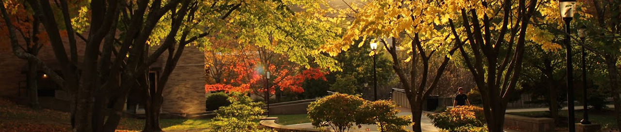 MCLA in the fall