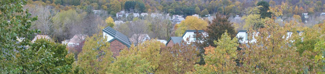 townshouses among treetops