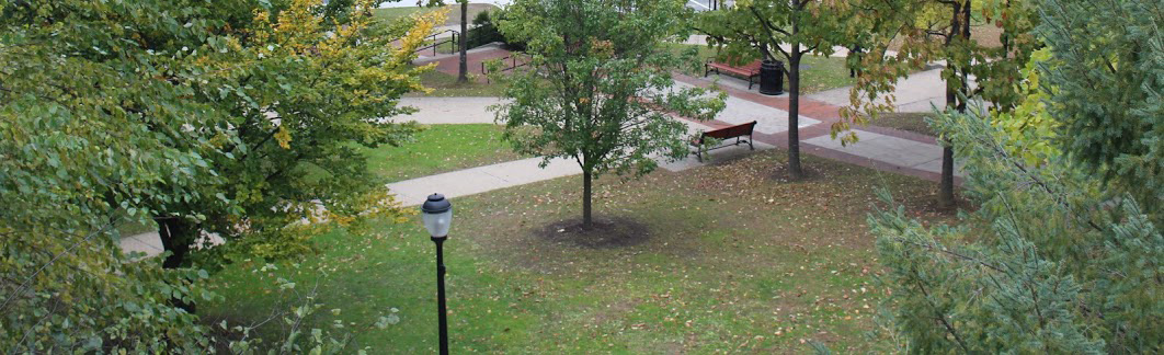 View of upper quad at MCLA